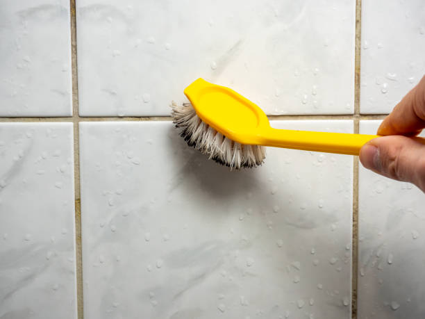 Mold Testing and Removal in Larchmont, NY