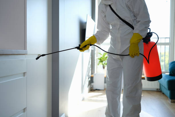 Mold Removal Process in Larchmont, NY