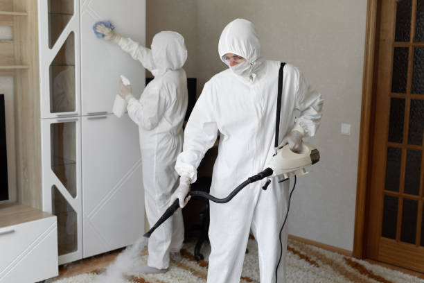Best Crawl Space Mold Removal  in Larchmont, NY