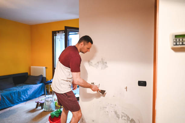 Best Emergency Mold Removal  in Larchmont, NY